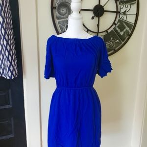 Charming Charlie's Royal Blue Dress lined